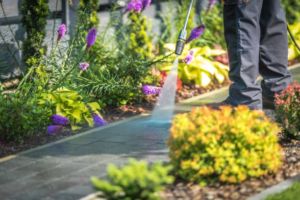Best Driveway Cleaning and Restoration in Crimora, VA